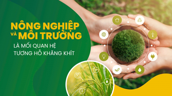 Nông nghiệp và môi trường là mối quan hệ tương hỗ khăng khít