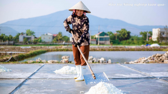 Tôn vinh những diêm dân làm ra 'hạt ngọc' của biển