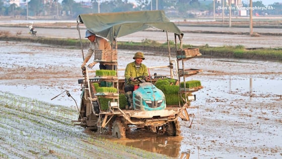 Cơ giới hóa nông nghiệp là chìa khóa cho an ninh lương thực