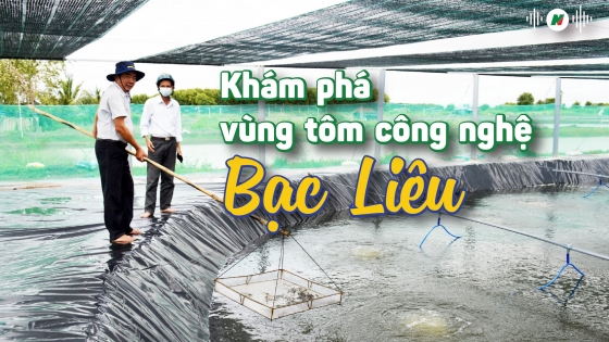 Khám phá vùng tôm công nghệ cao Bạc Liêu