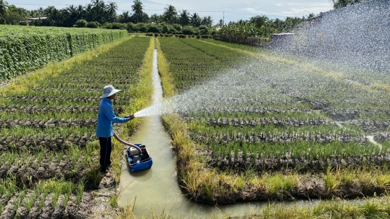 ผลิตภาพแรงงานทางการเกษตรของเวียดนามอยู่ที่ 40% ของประเทศไทย