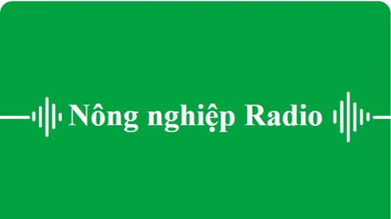 Lời giải giảm chi phí đầu vào sản xuất vụ đông xuân ở ĐBSCL