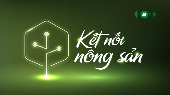 Xuất khẩu nông sản sau một năm đáp ứng lệnh 248, 249 của Trung Quốc