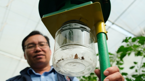 Toàn cảnh dự án 'Nông nghiệp thông minh vì thế hệ tương lai' ở Mộc Châu