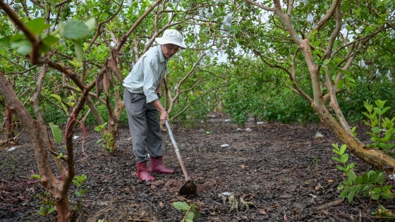 Câu chuyện 3 người nông dân