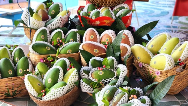 Để hương vị xoài An Giang bay xa hơn