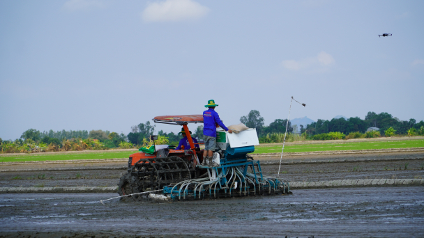 Có thể xin cơ chế đặc thù làm 1 triệu ha lúa chất lượng cao