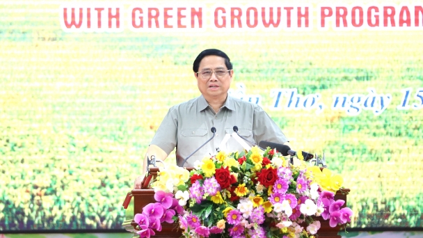 Prime Minister: Accelerate and breakthrough in implementing the 1 Million hectares of high-quality rice project