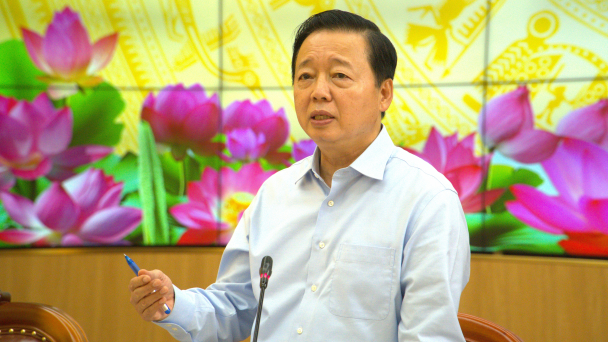 Deputy Prime Minister Tran Hong Ha: Enhance quality and professionalism in rice export