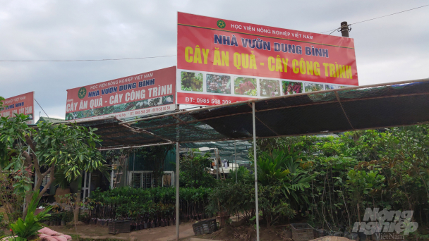 Cơ sở bán giống 'bủa vây' nhà trường, viện nghiên cứu