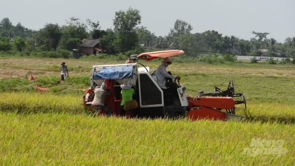 Lũ tháng 8 ở ĐBSCL không ảnh hưởng lúa hè thu và thu đông