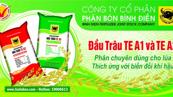 Khuyến cáo giải pháp canh tác lúa hè thu 2021 vùng ĐBSCL