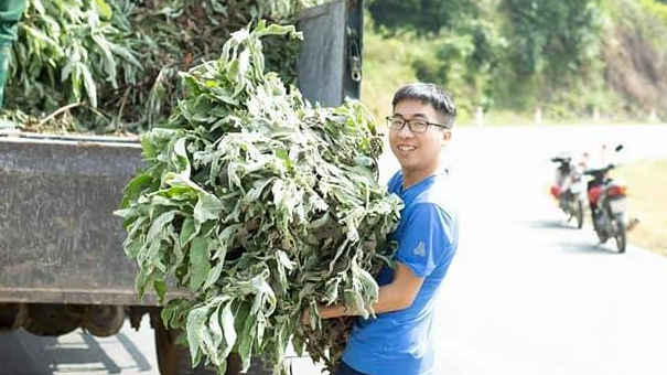 Chàng trai Tày biến cây cỏ thành tinh dầu quý