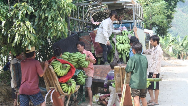 Biên giới Cốc Lầy đổi thay nhờ cây trồng hàng hóa