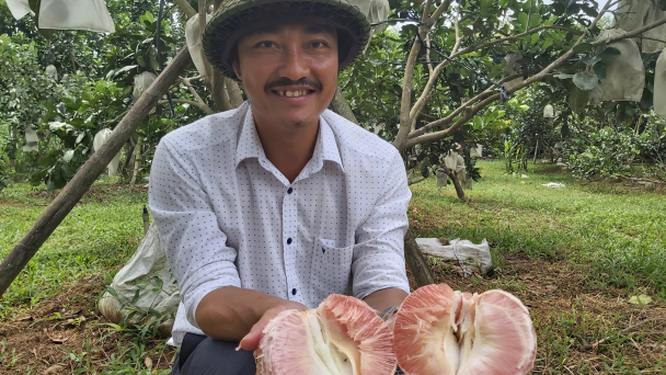 HTX nông nghiệp công nghệ cao, hữu cơ ở đất Phủ Qùy