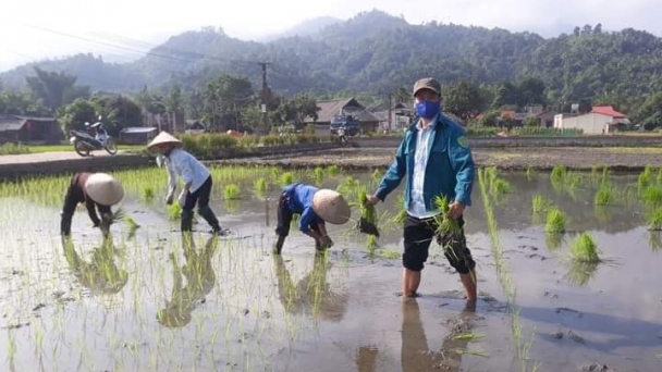 Tận dụng phế phụ phẩm ứng phó 'bão giá phân bón'