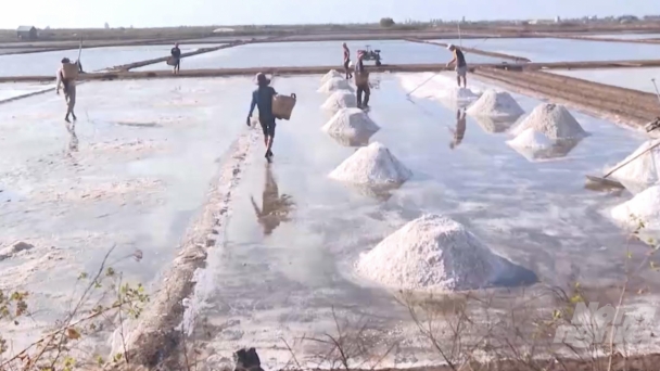 Thousands ha of salt melt off due to unseasonal rains