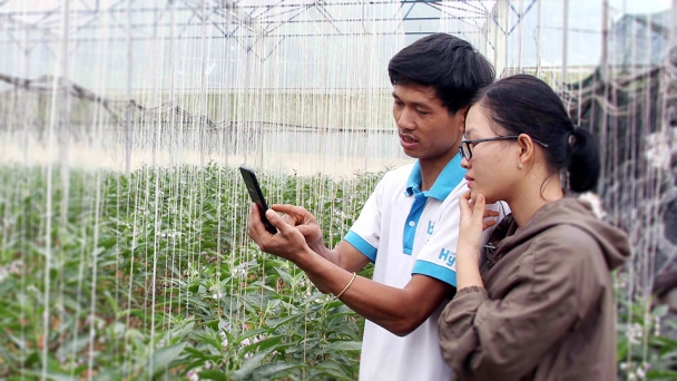 Lào Cai: Mỗi thôn, bản thành lập một tổ công nghệ số cộng đồng