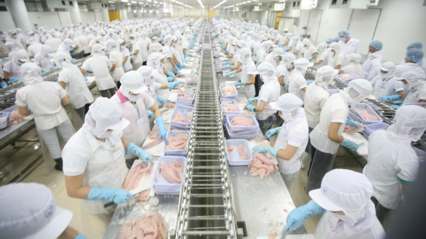 FAO dự báo 3 kịch bản cho ngành thủy sản toàn cầu vào năm 2050