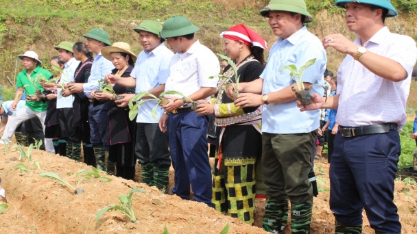 Sa Pa nhắm mục tiêu vùng cây dược liệu lớn