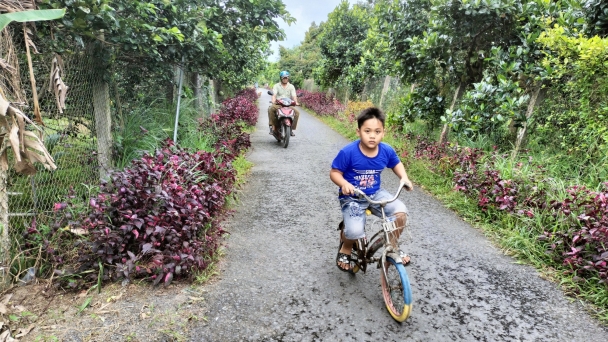 Sức sống mới trên cù lao Dài