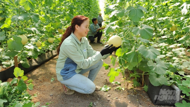 Đảm bảo an toàn thực phẩm, chất lượng nông sản ngay từ khâu đầu vào