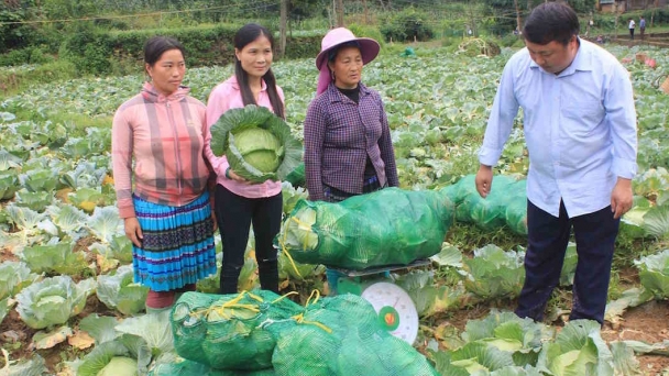 Tổ thủy nông cơ sở đảm bảo nước tưới cho vùng cao