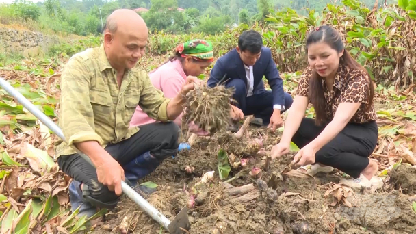 Hai sản phẩm chế biến sâu 'có tiếng' của Bắc Kạn