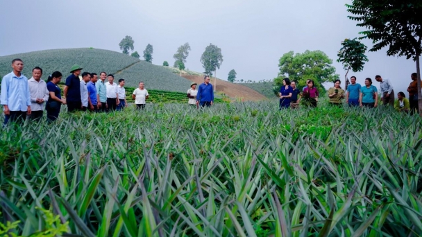 Chuyển khuyến nông hỗ trợ sang khuyến nông kết nối