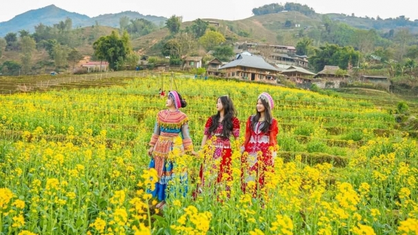 Lấy nông nghiệp làm điểm tựa cho du lịch: 'Một mũi tên, trúng nhiều đích'