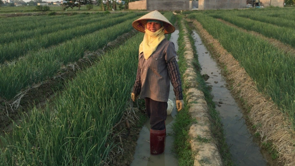 Độ ẩm đất thích hợp cho cây hành vụ đông