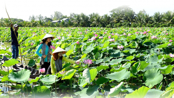 Phát triển hoa, cây cảnh gắn với du lịch nông nghiệp