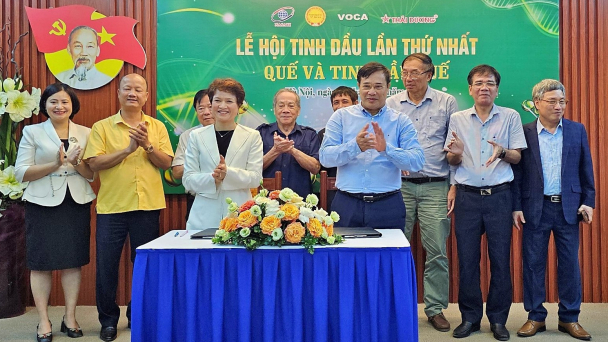 Bàn cách tận dụng hết dư địa cho tinh dầu quế