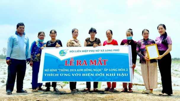 Trồng dưa Kim Hồng Ngọc, tạo thu nhập ổn định cho phụ nữ nông thôn