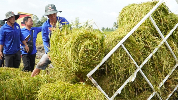 Đề án 1 triệu ha: Mục đích là giảm chi phí, giảm phát thải, tăng lợi nhuận