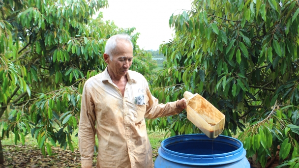 Đặt nền móng, động lực cho nông nghiệp hữu cơ