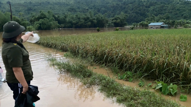 30ha đất vừa được khôi phục lại bị ngập trong bùn đất