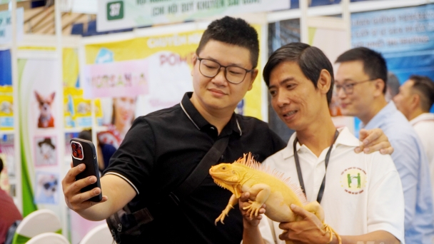 Promoting ornamental creatures to be sustainable ecological economy