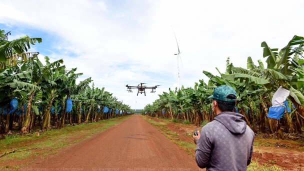 Gia Lai attempts to establish 33 high-tech agricultural regions