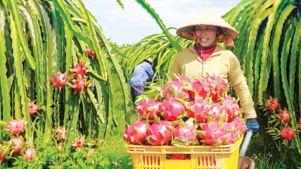 Ấn phẩm truyền thông về 'tam nông' phát hành trên chuyến bay