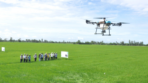 Farming low-emission rice yields an additional 10 million VND per hectare