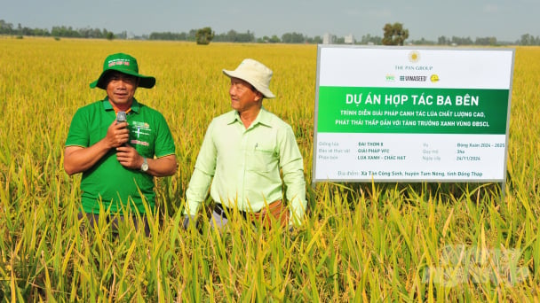 The rice production link reduces emissions, with costs reduced by 40-50%