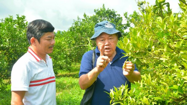 Sản xuất giống sạch bệnh, cần lắm bàn tay Nhà nước!
