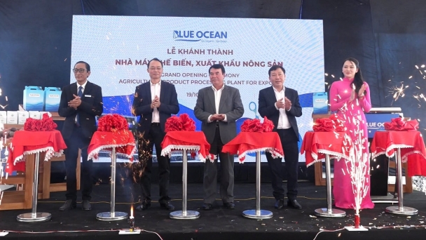 Blue Ocean inaugurates frozen fruit processing plant of 10,000 tons per year