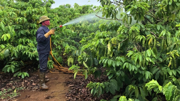 2.15 thousand tons of pesticide packaging waste generated in coffee production