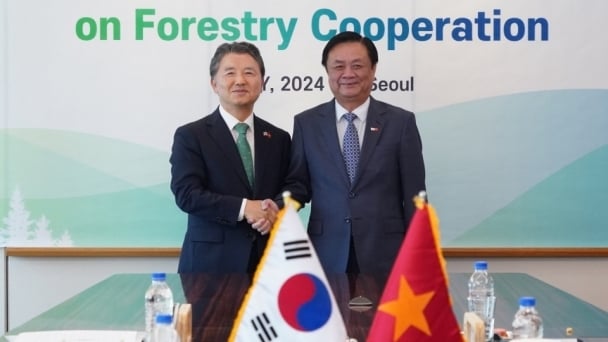 Vietnam and Korea strengthen cooperation to develop multi-use forestry industry