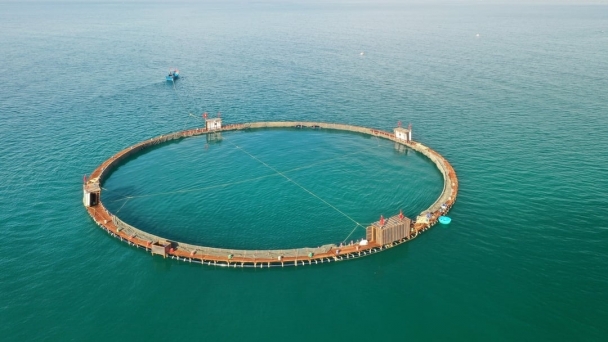 Launching the HDPE ‘super marine cage’ with a diameter of 100 meters