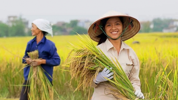 Vietnamese women: The contributors to ensuring food security and preserving indigenous cultural values