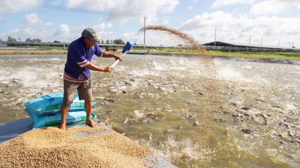 Building research capacity to minimize catfish food loss in the Mekong region