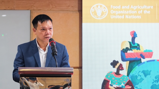 FAO in Vietnam calls for action to reduce food loss and waste